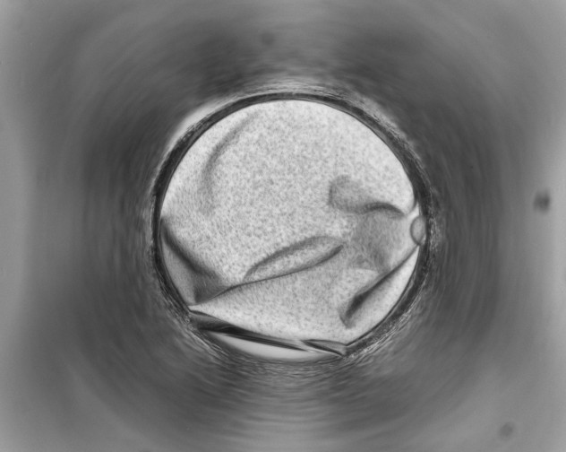 X0000098221222200805221641