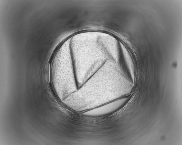 X0000098221223200805221641