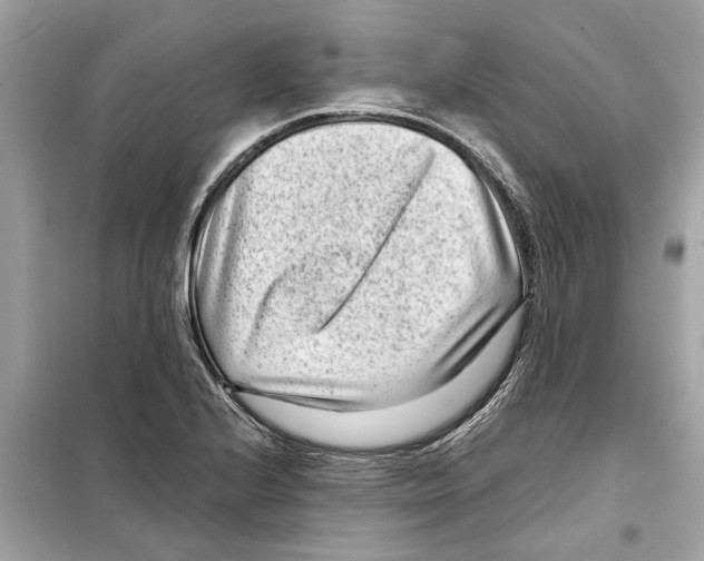 X0000098221224200805221641