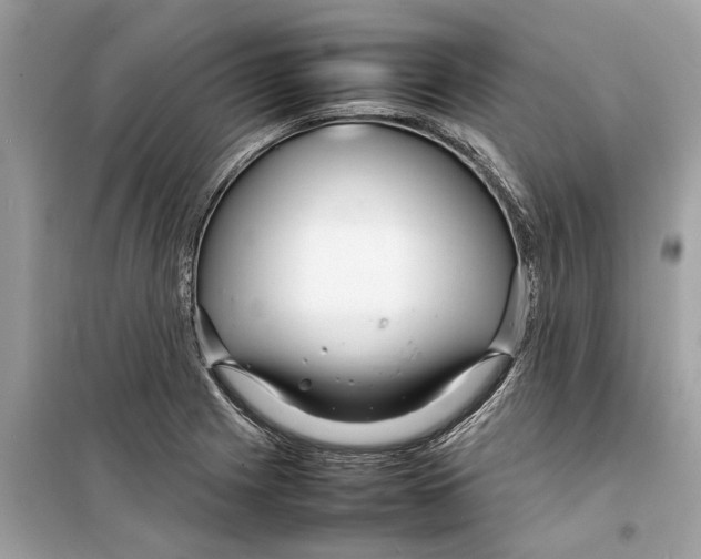 X0000098221225200805221641