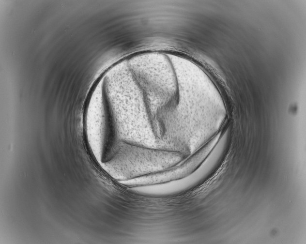 X0000098221226200805221641