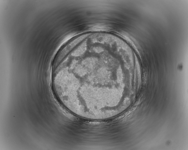 X0000098221227200805221641