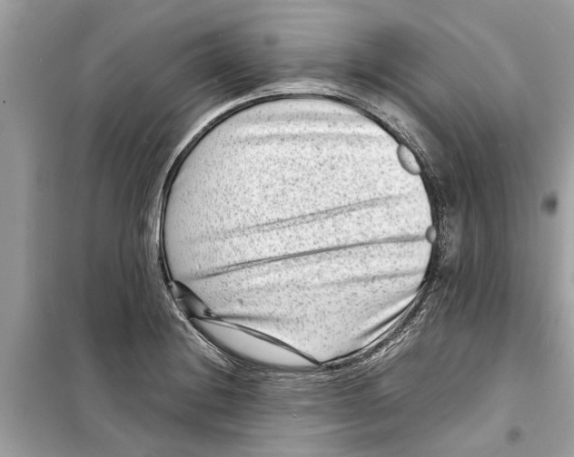 X0000098221228200805221641