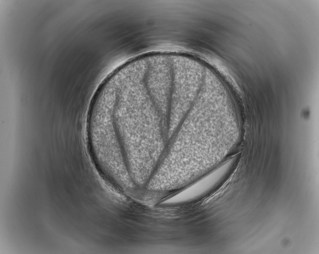 X0000098221229200805221641