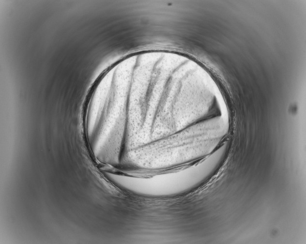 X0000098221230200805221641