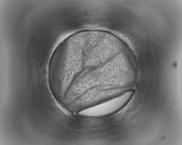 X0000098221231200805221641