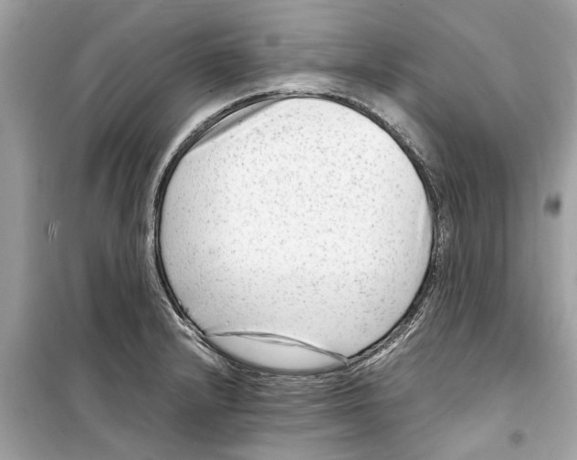 X0000098221232200805221641