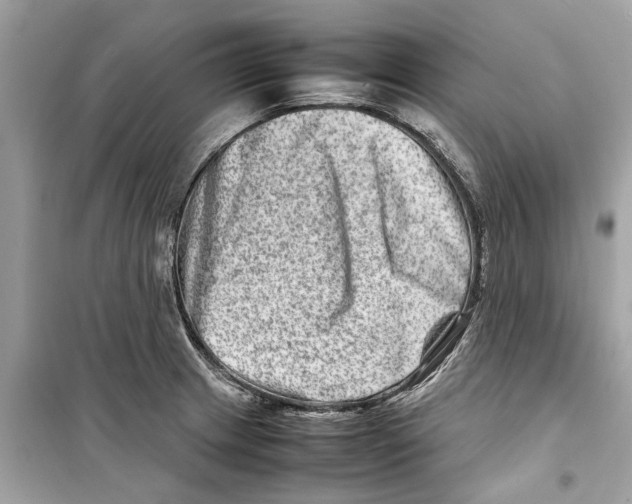 X0000098221233200805221641