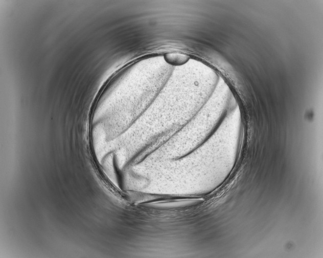 X0000098221234200805221641