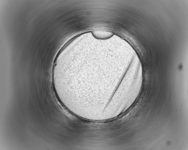 X0000098221236200805221641