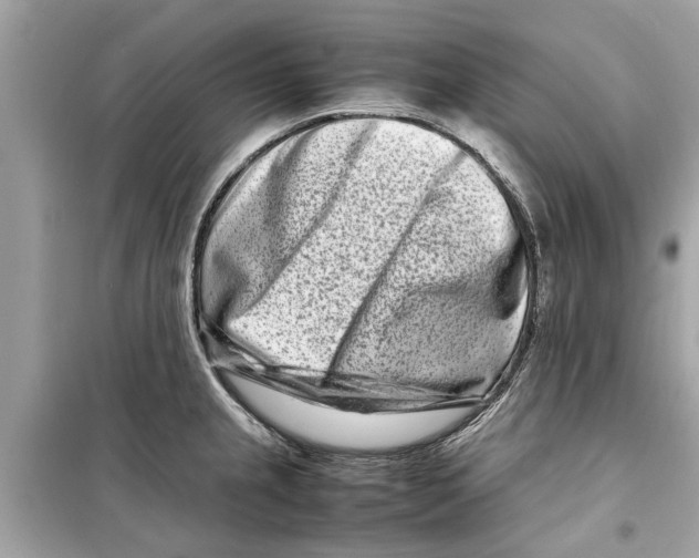 X0000098221237200805221641