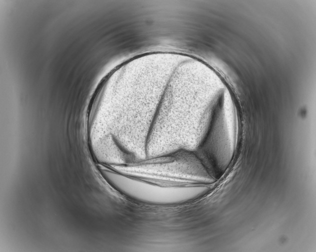 X0000098221238200805221641