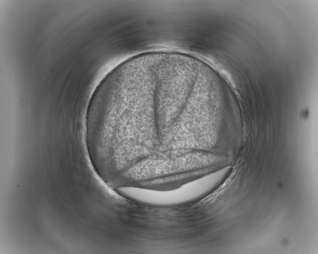 X0000098221239200805221641