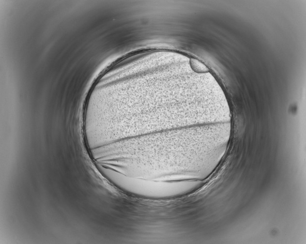 X0000098221240200805221641