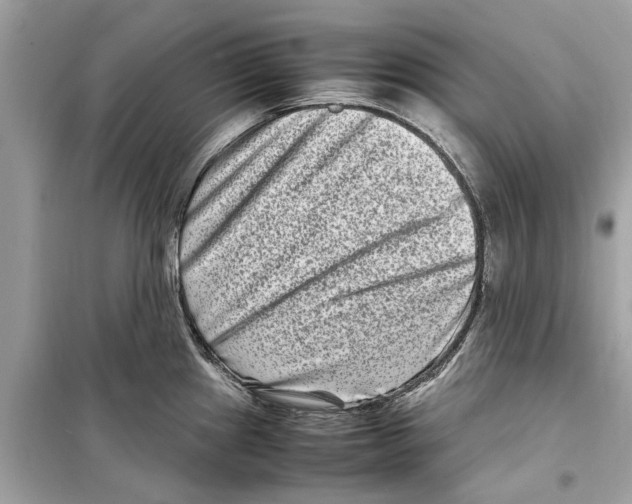 X0000098221241200805221641