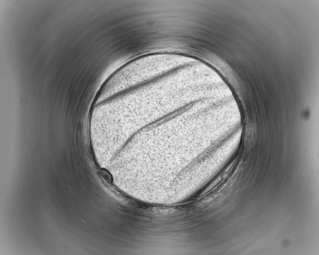 X0000098221242200805221641