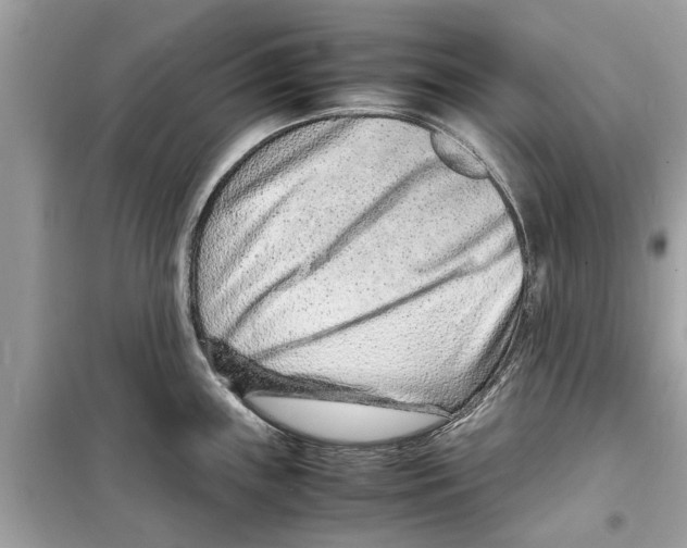 X0000098221243200805221641