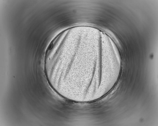 X0000098221244200805221641