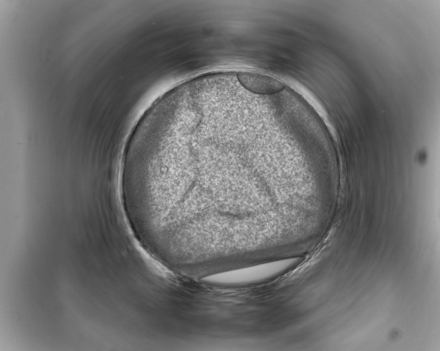 X0000098221245200805221641