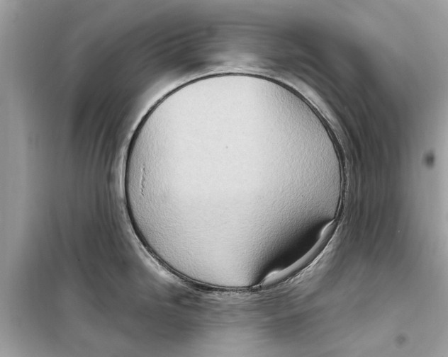 X0000098221246200805221641