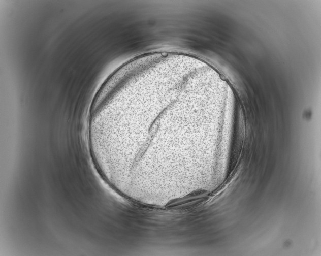 X0000098221247200805221641