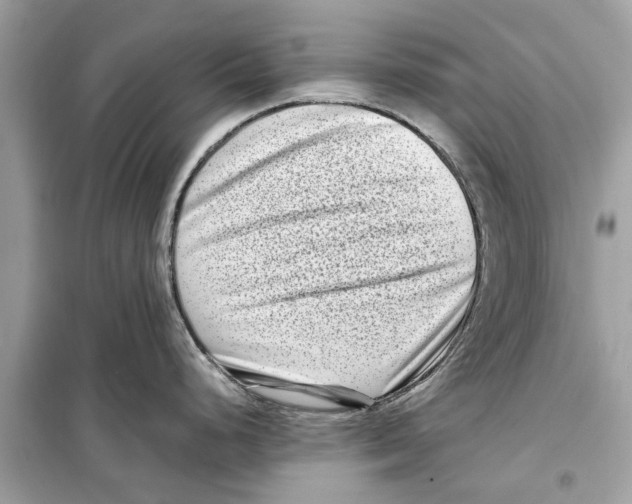 X0000098221248200805221641