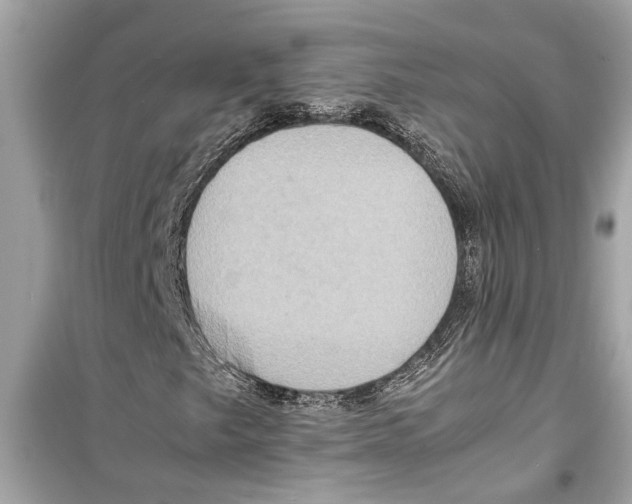 X0000098221249200805221641