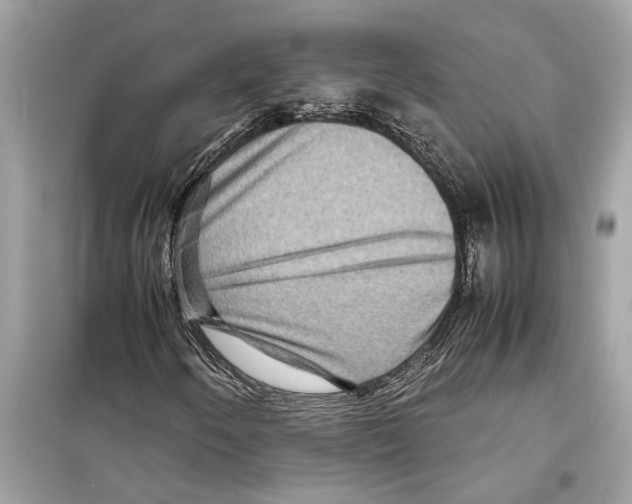 X0000098221250200805221641