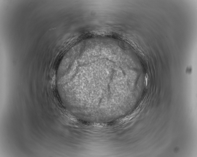 X0000098221251200805221641