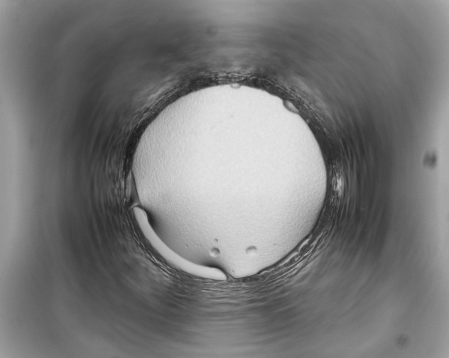 X0000098221252200805221641