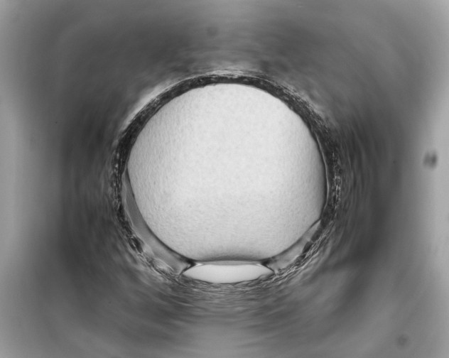 X0000098221256200805221641