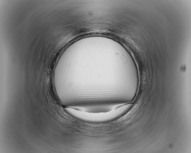 X0000098221257200805221641