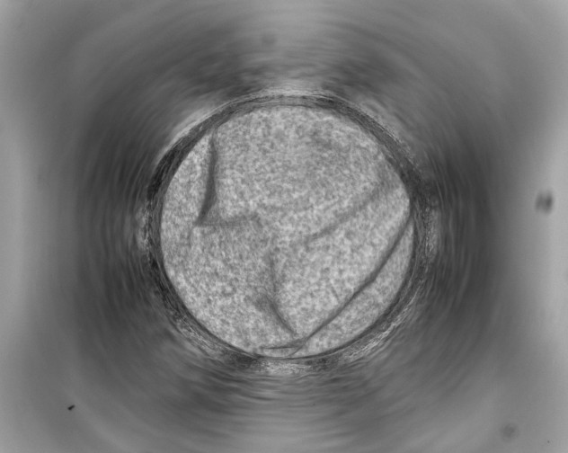 X0000098221258200805221641