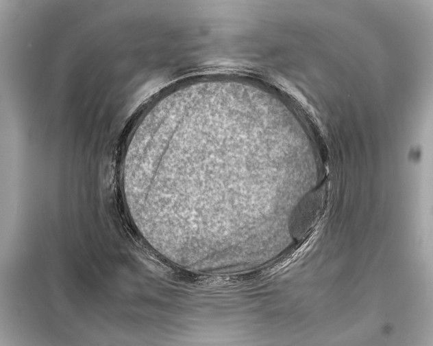 X0000098221259200805221641