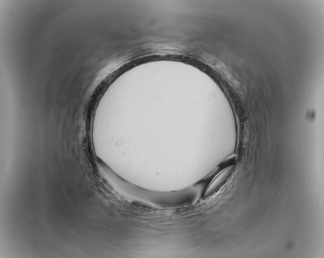 X0000098221261200805221641