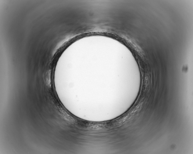 X0000098221262200805221641