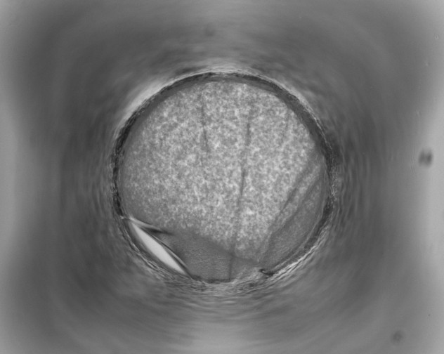 X0000098221263200805221641