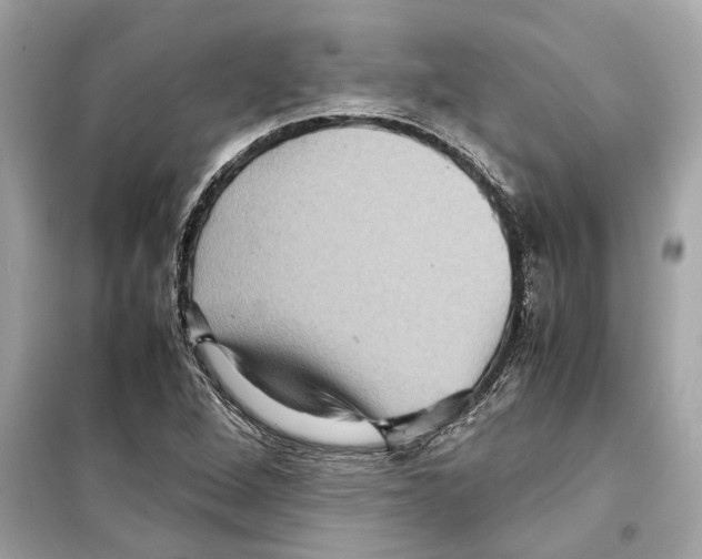 X0000098221264200805221641