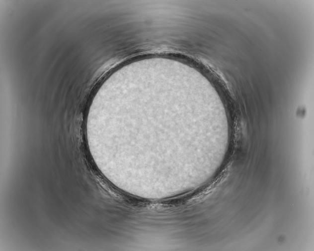 X0000098221265200805221641