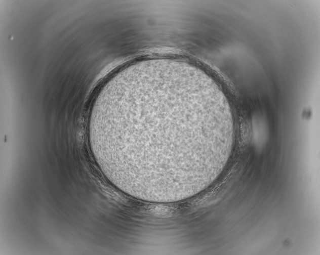 X0000098221266200805221640