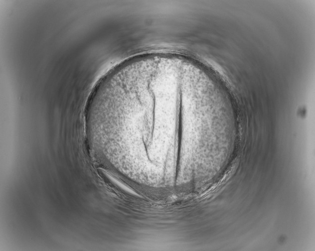 X0000098221267200805221640