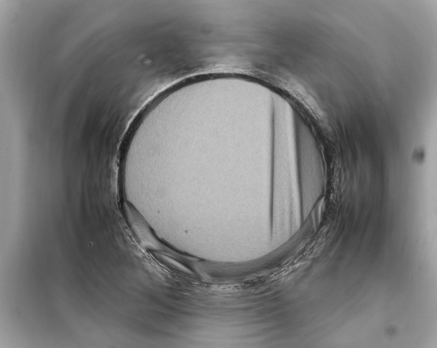 X0000098221268200805221640