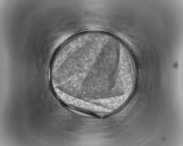 X0000098221269200805221640