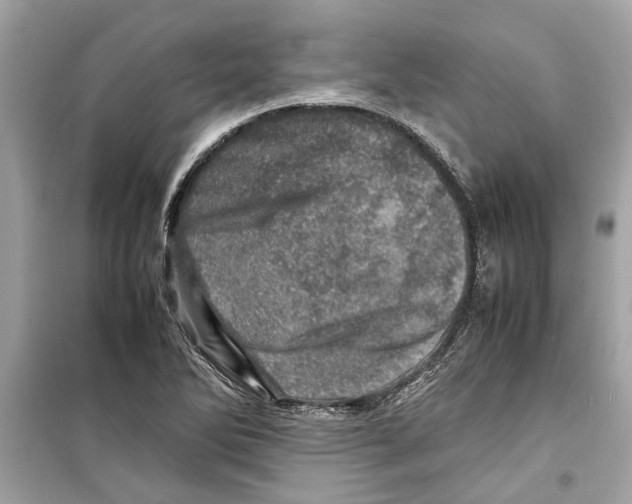 X0000098221270200805221640