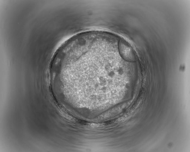 X0000098221271200805221640