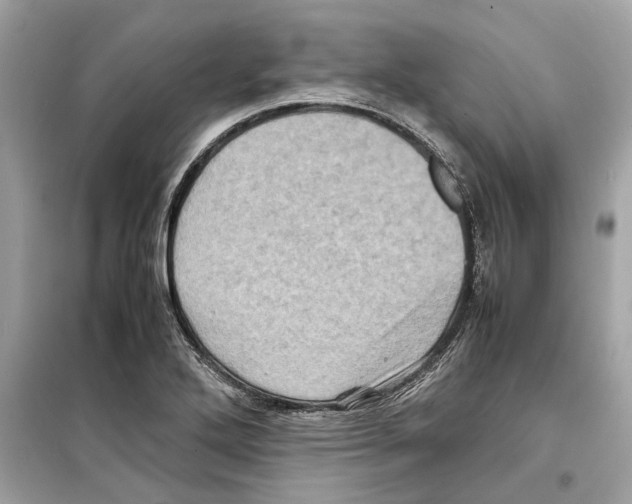 X0000098221272200805221640