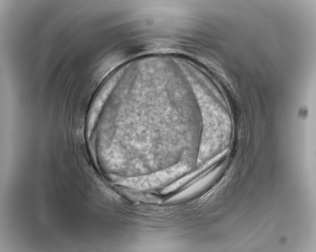 X0000098221273200805221640