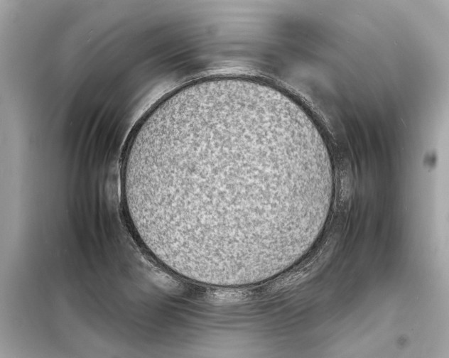 X0000098221274200805221640