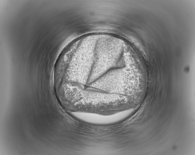 X0000098221275200805221640