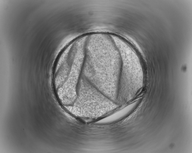 X0000098221277200805221640